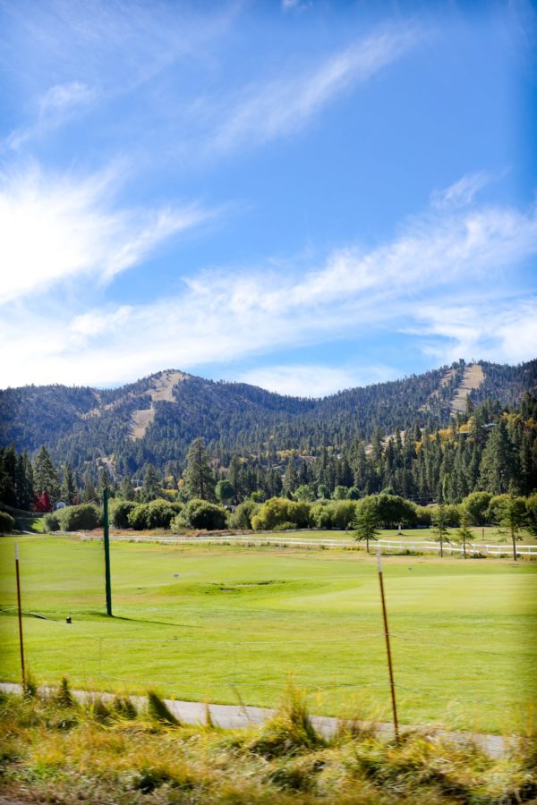 oofos cloud white sandals