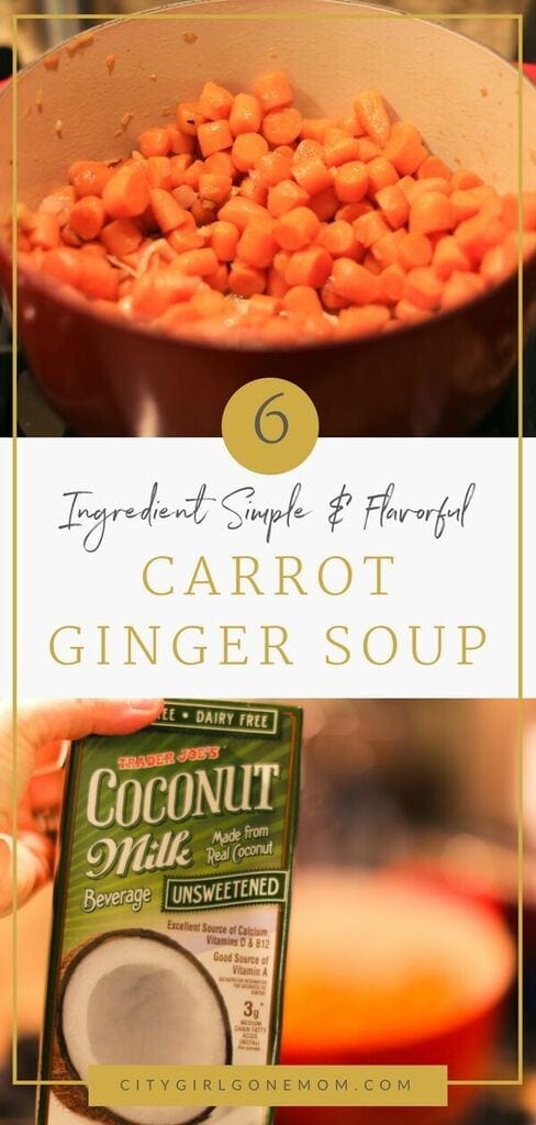 carrot ginger soup