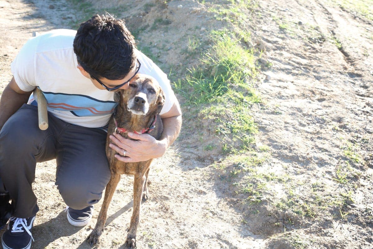 dad and dog