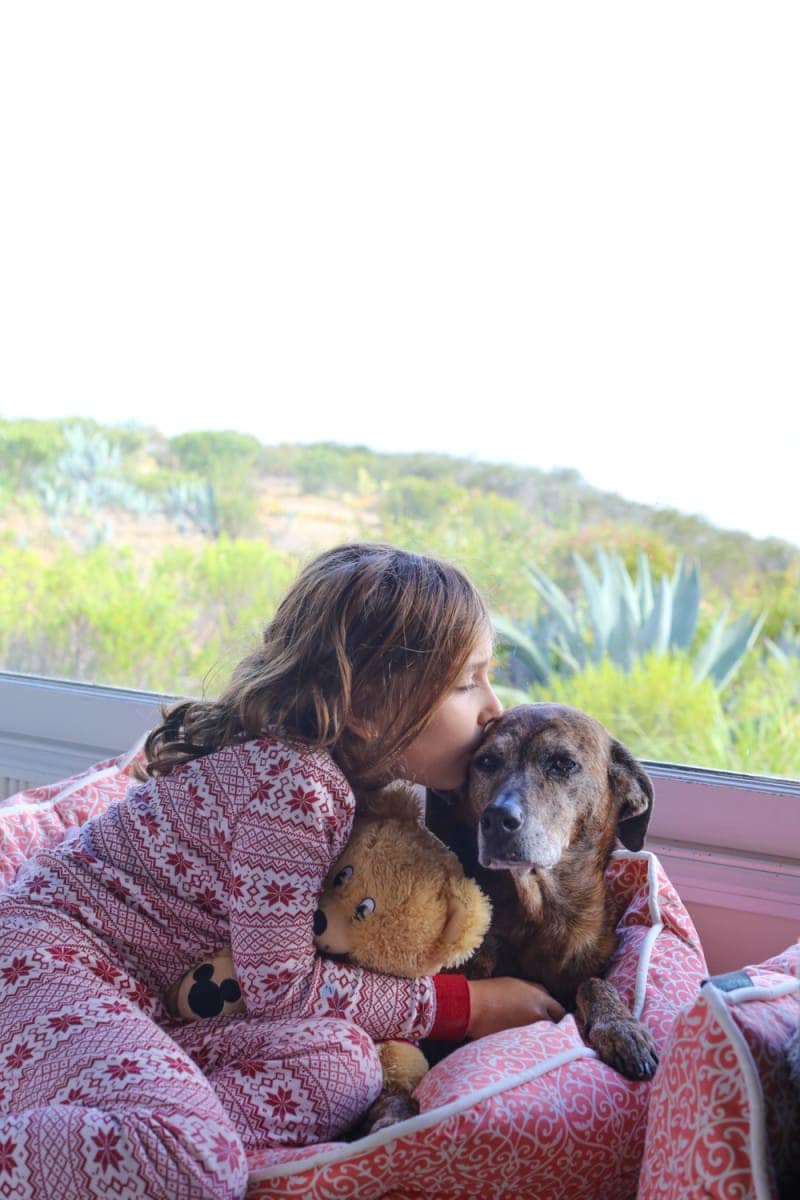 dog waving goodbye