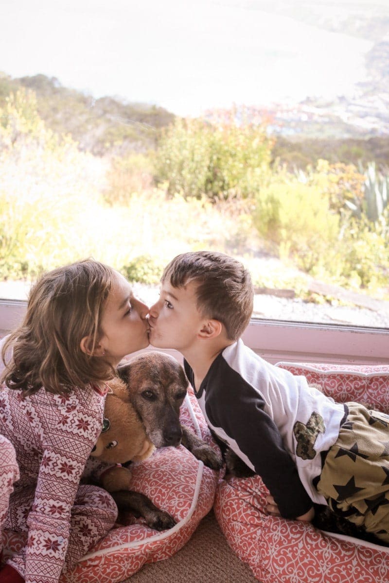 kids kissing and dog