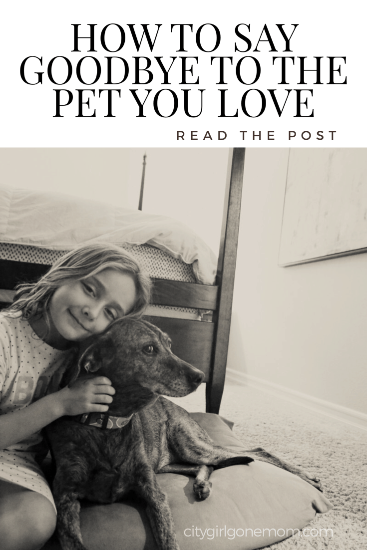 Saying Goodbye To The Pet You Love