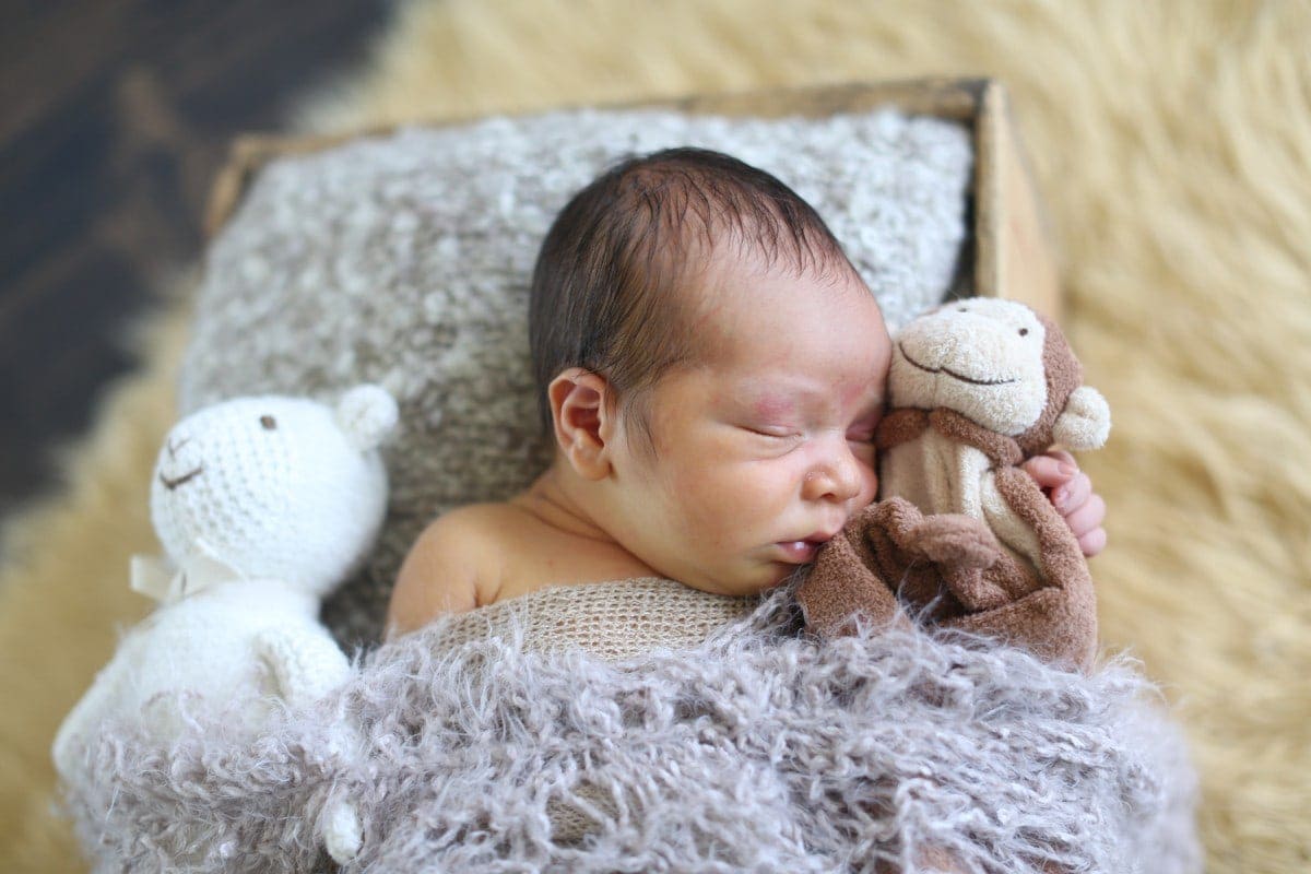 sleeping baby with stuffed animals