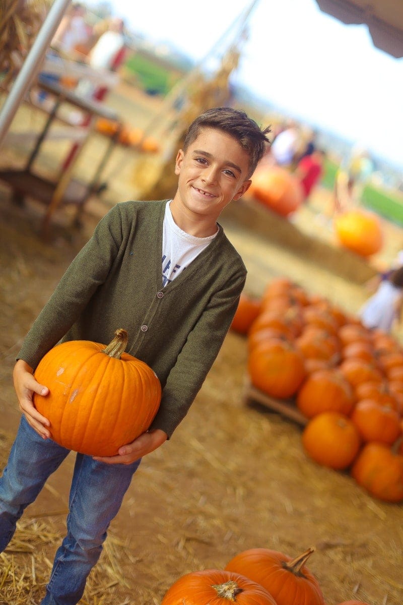 boy in pumpkin patch