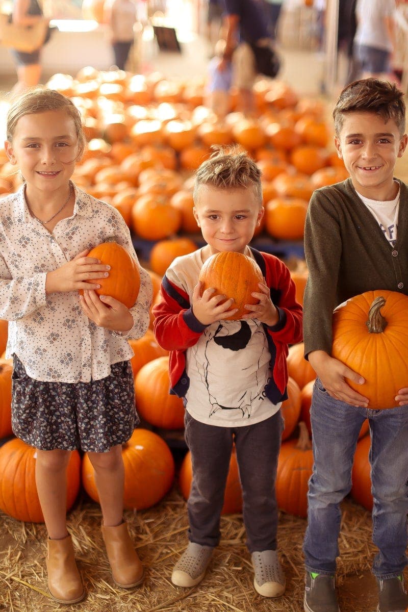 kids in pumpkin patch