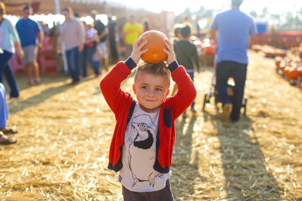 kid holding pumpkin