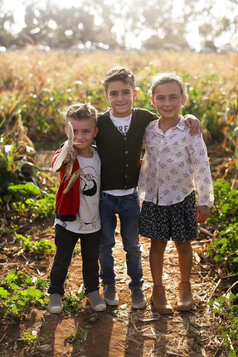 kids in corn maze
