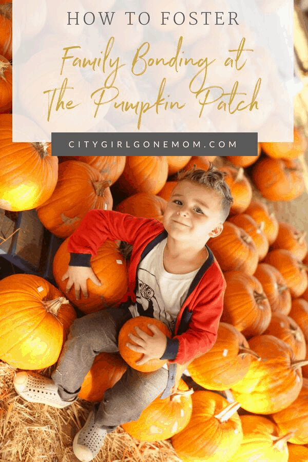 boy in pumpkin patch