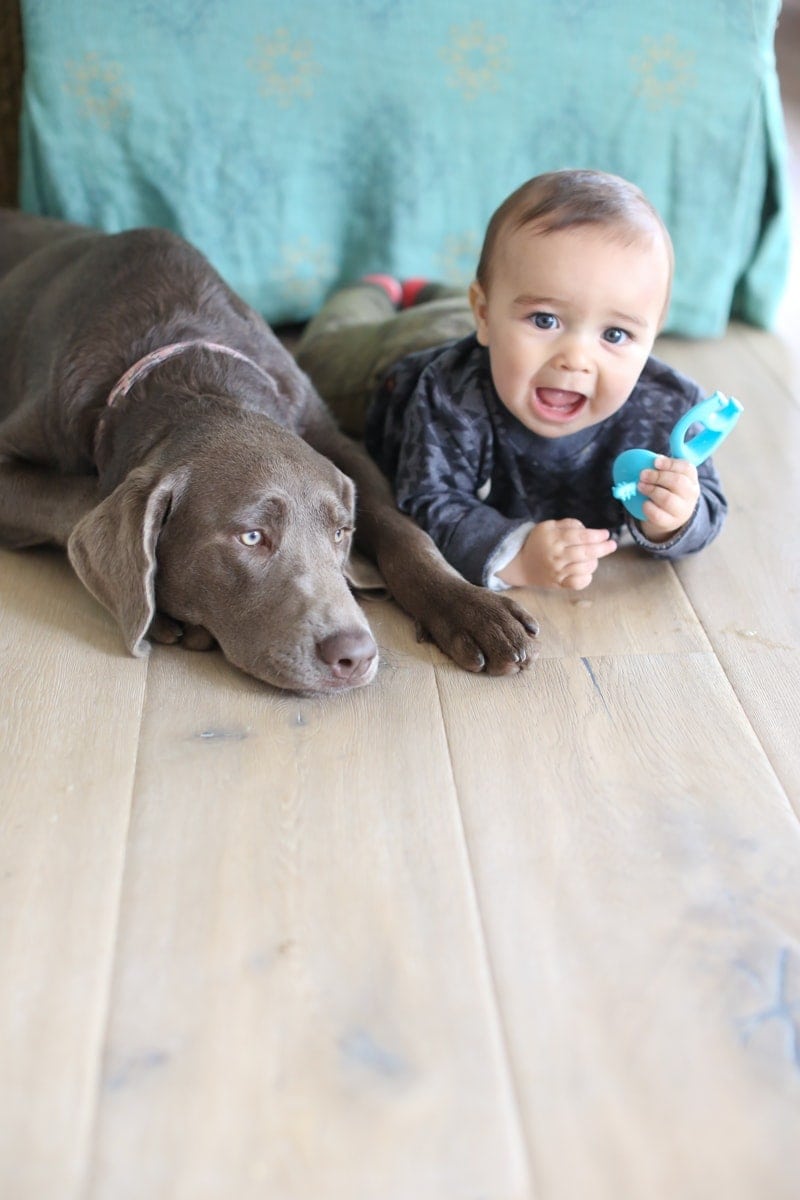 happy baby with dog