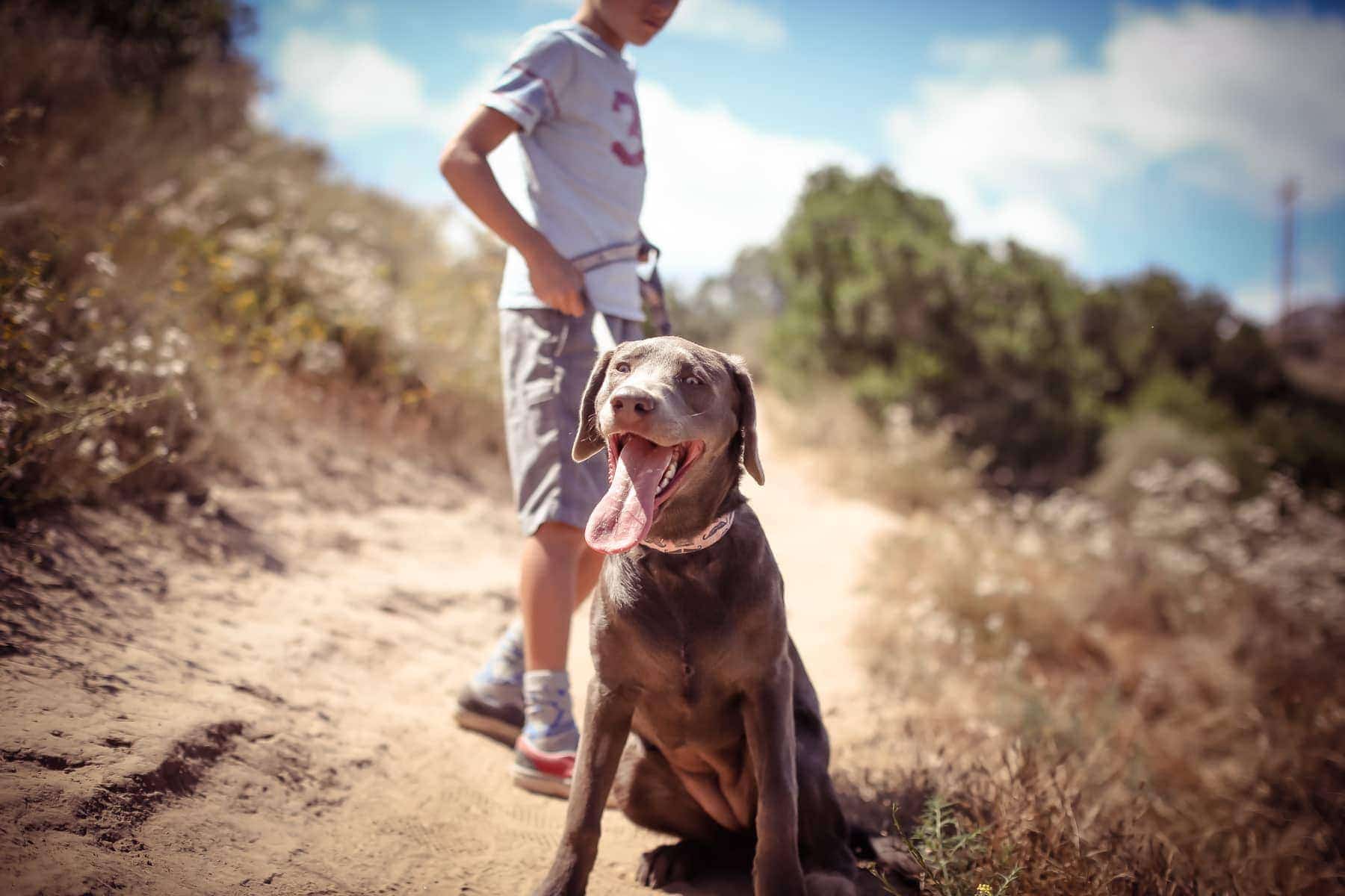 boy and dog