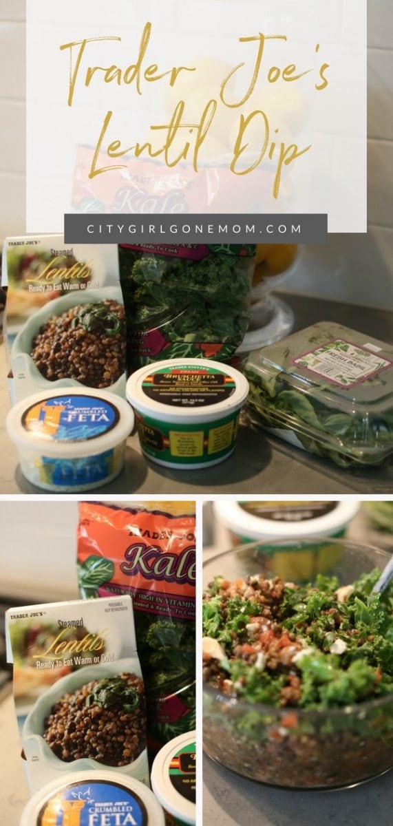 Best Trader Joe's Lentil Dip Recipe