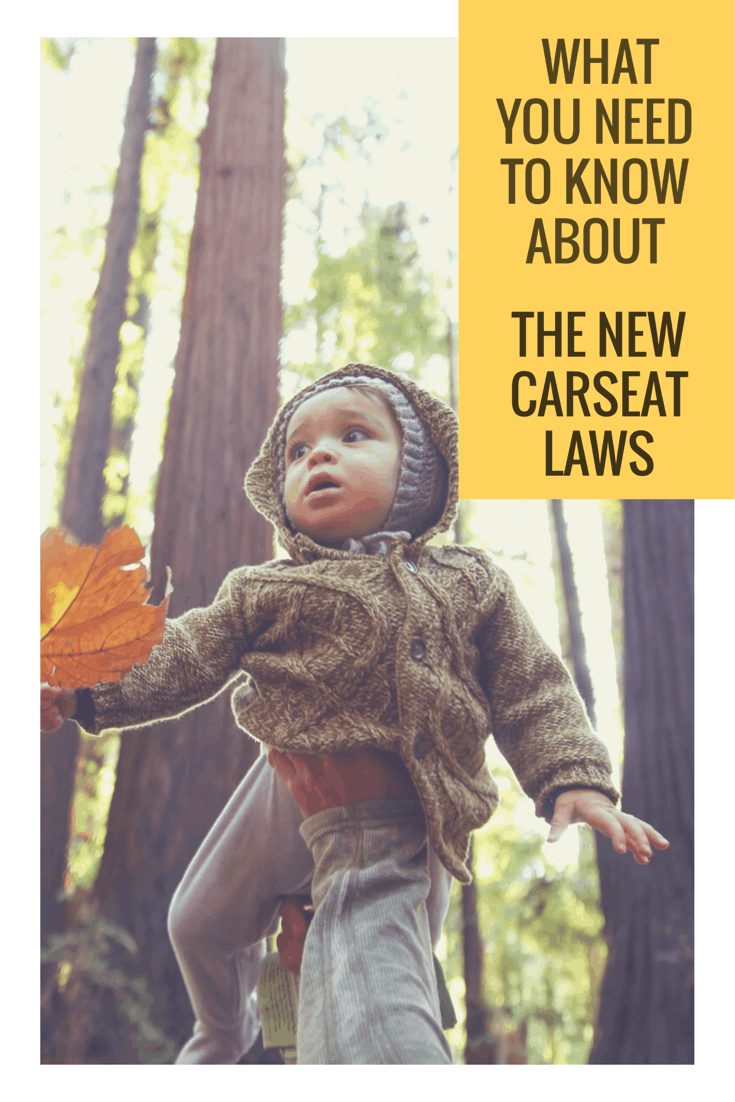 carseat laws