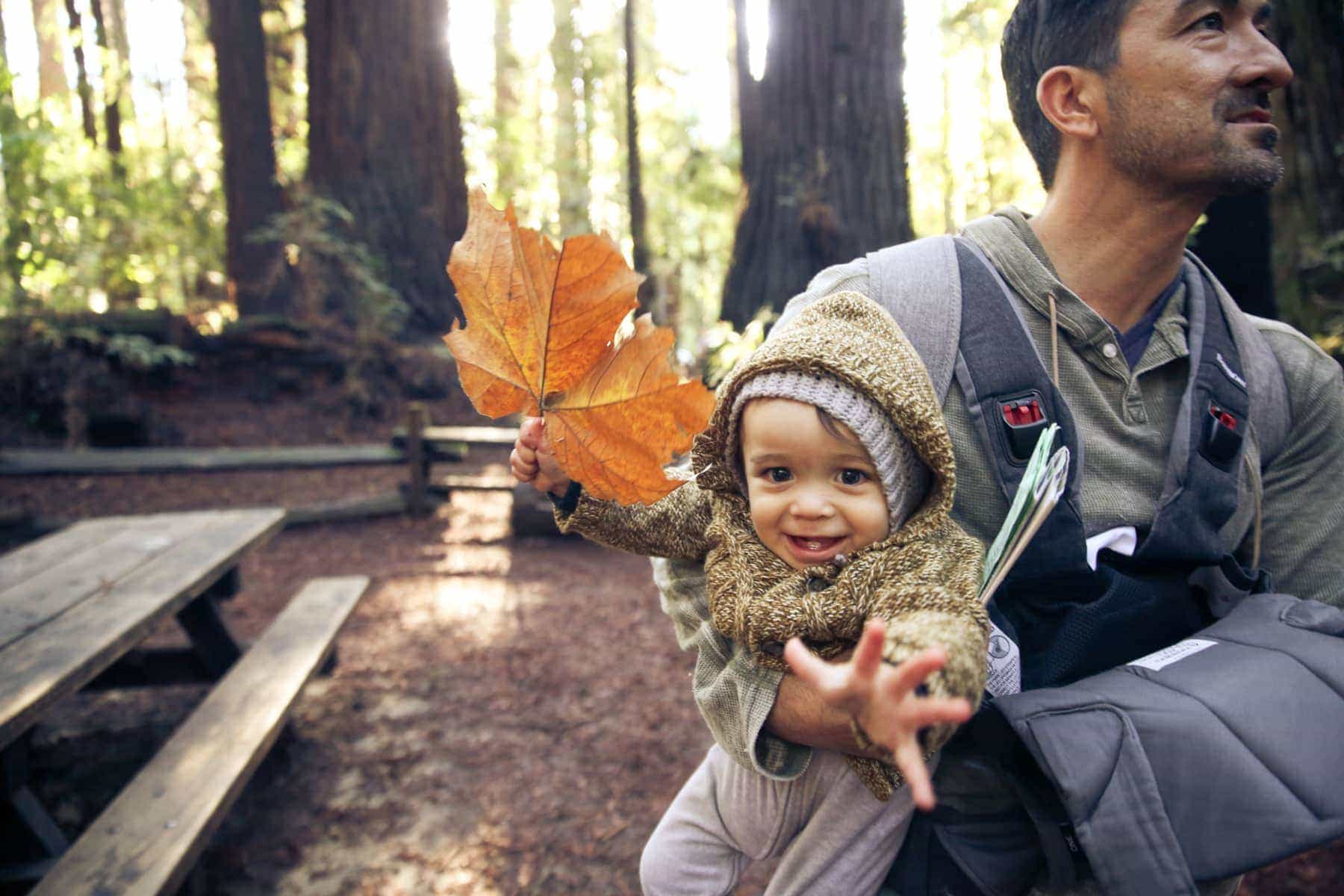 baby and leaf 