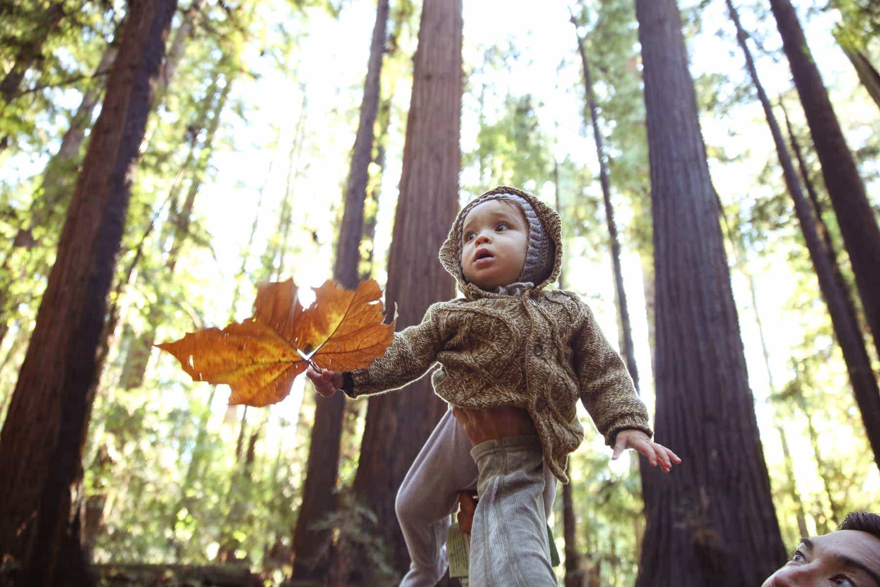 baby with leaf 