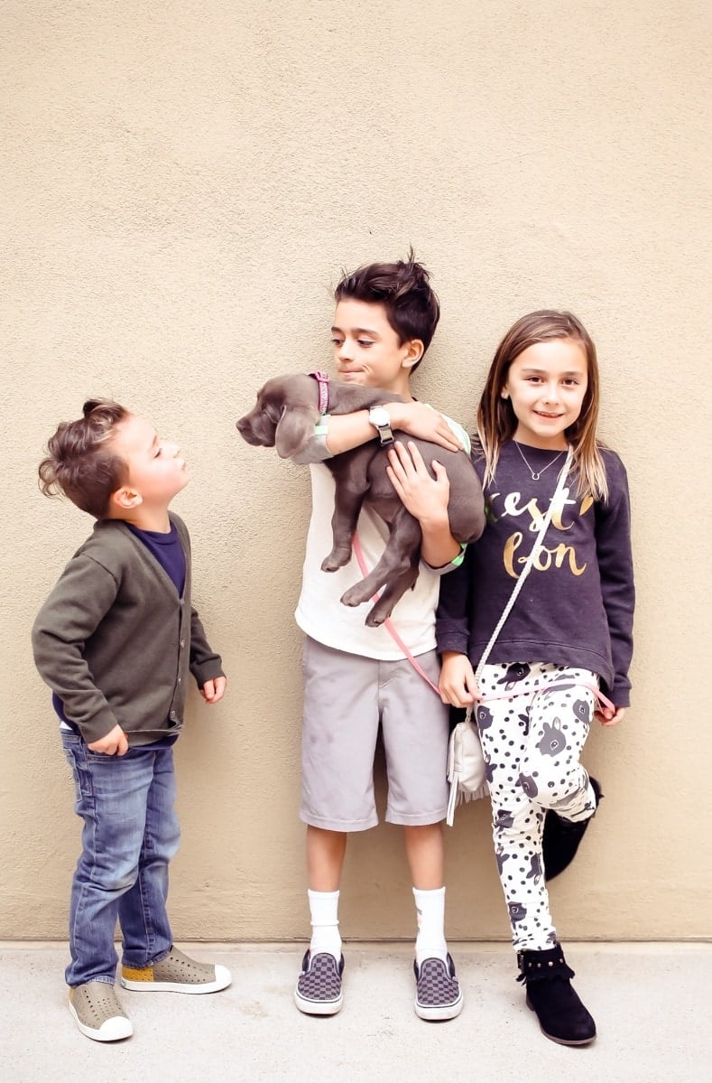 kids and their puppy