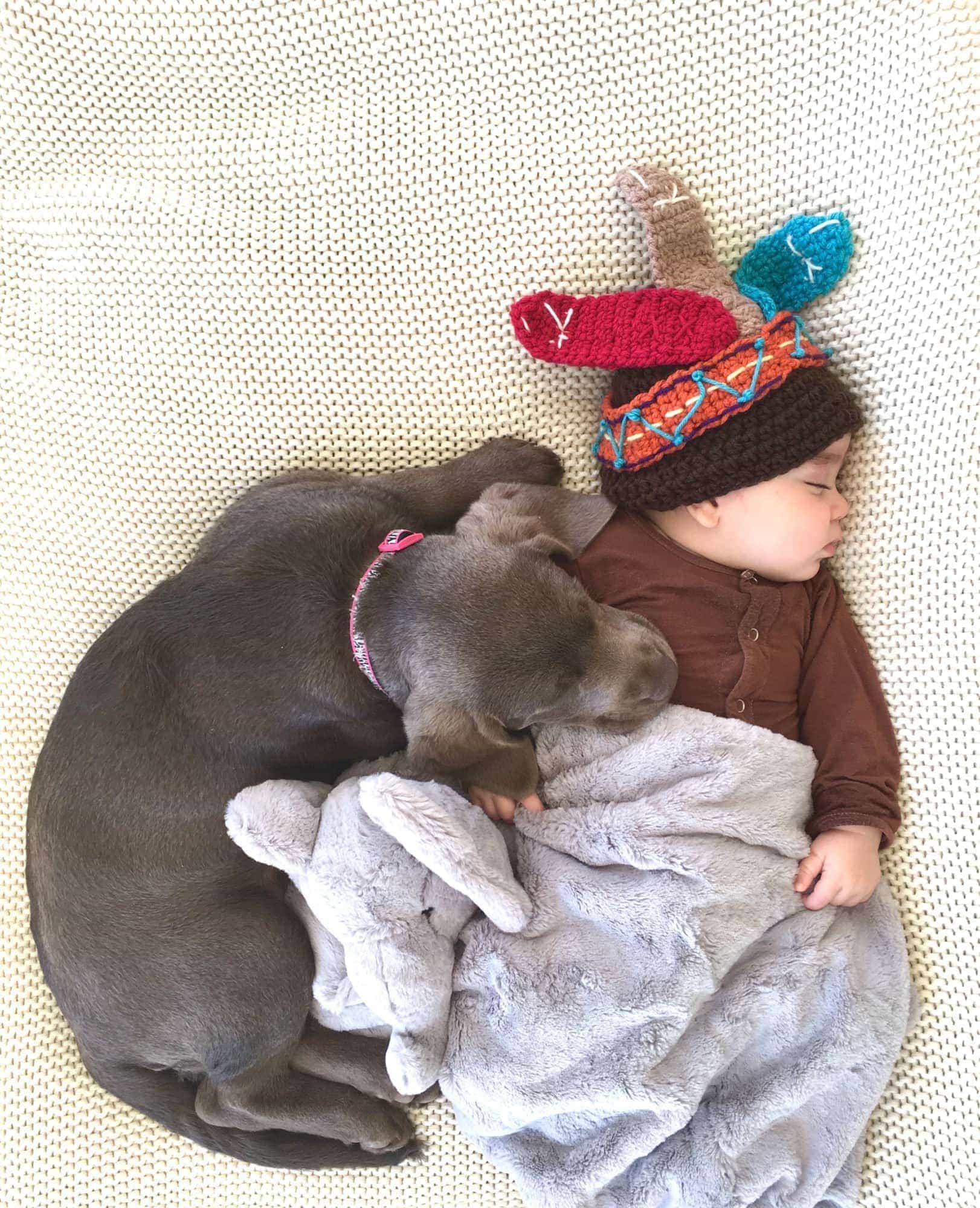 puppy and baby 