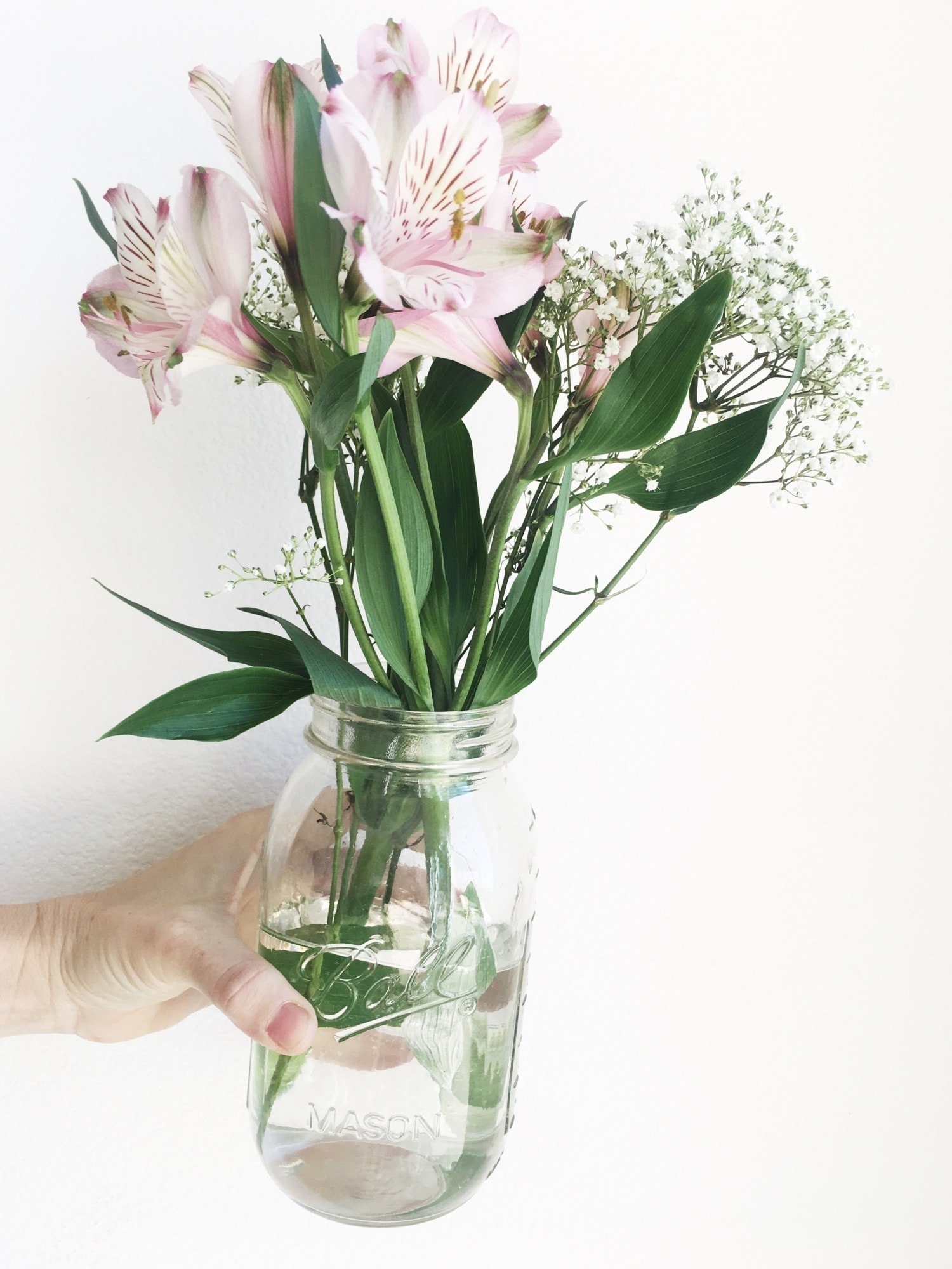 flowers in jar