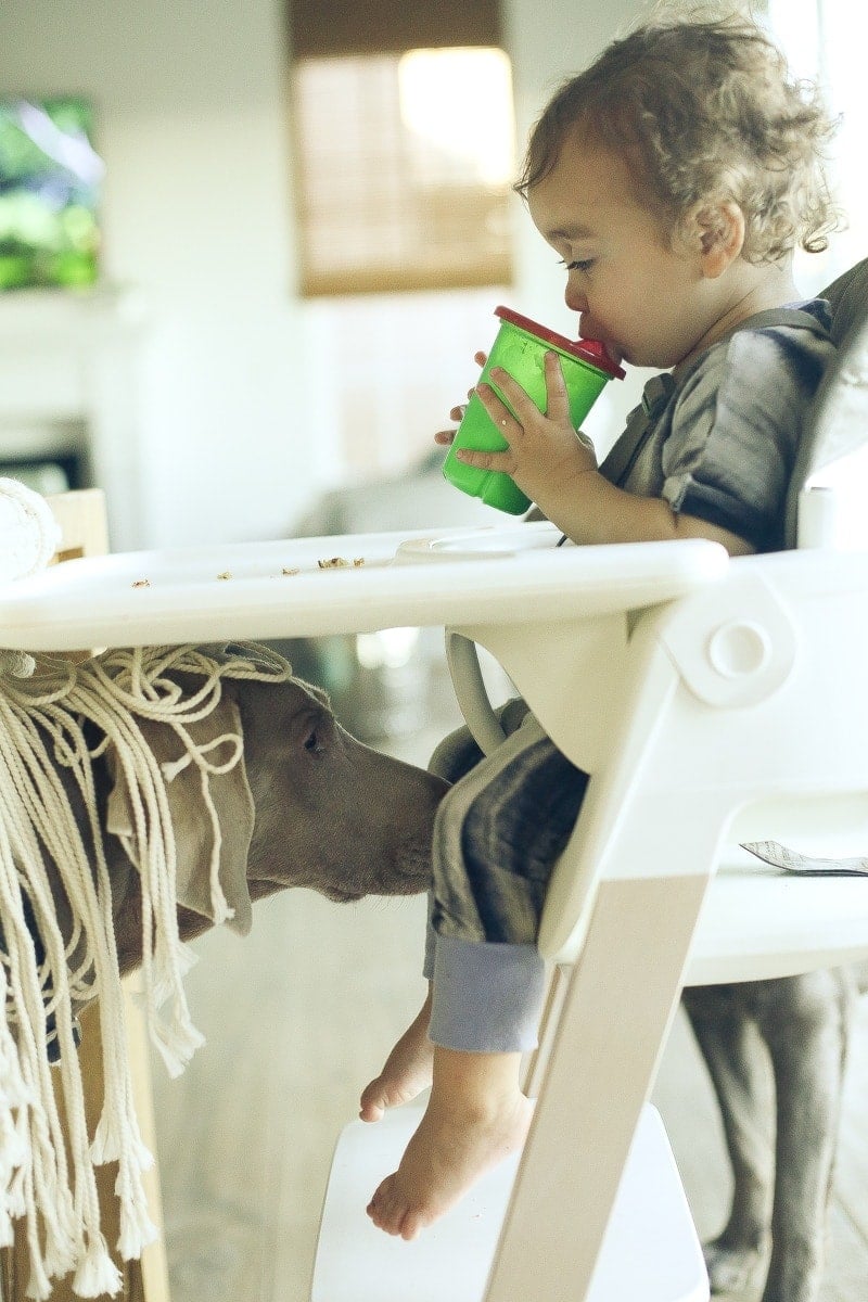 baby in high chair 