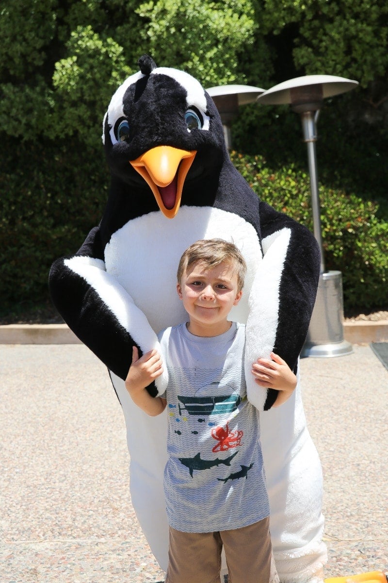 boy with penguin at seaworld