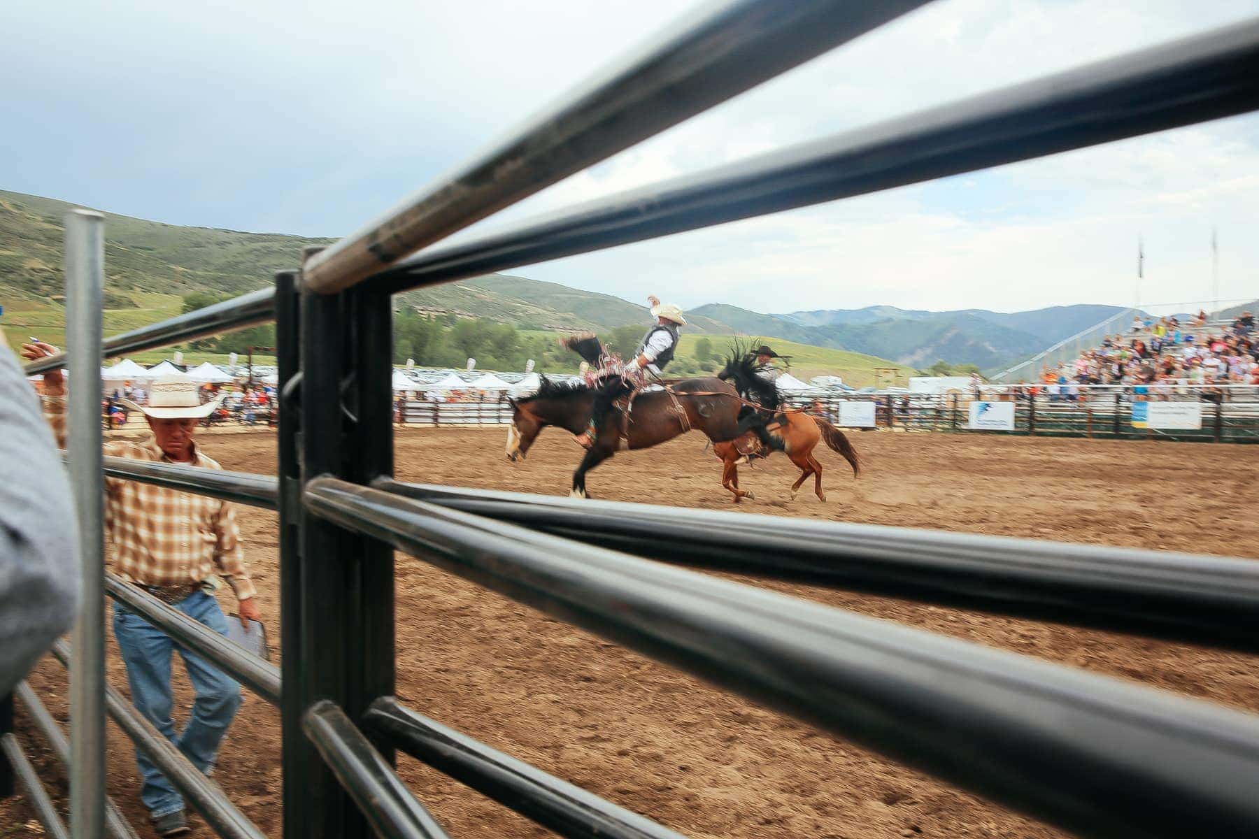 cowboy rodeo 