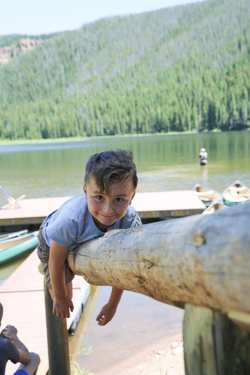 boy climbing tree 