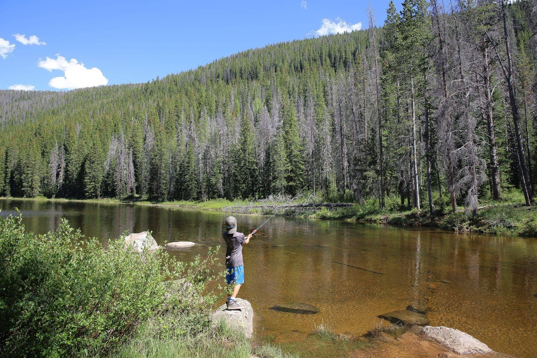 boy fishing 