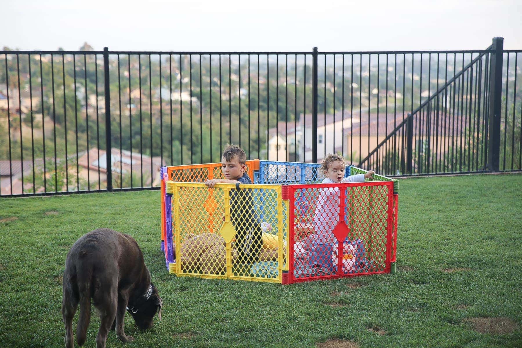 portable gate 