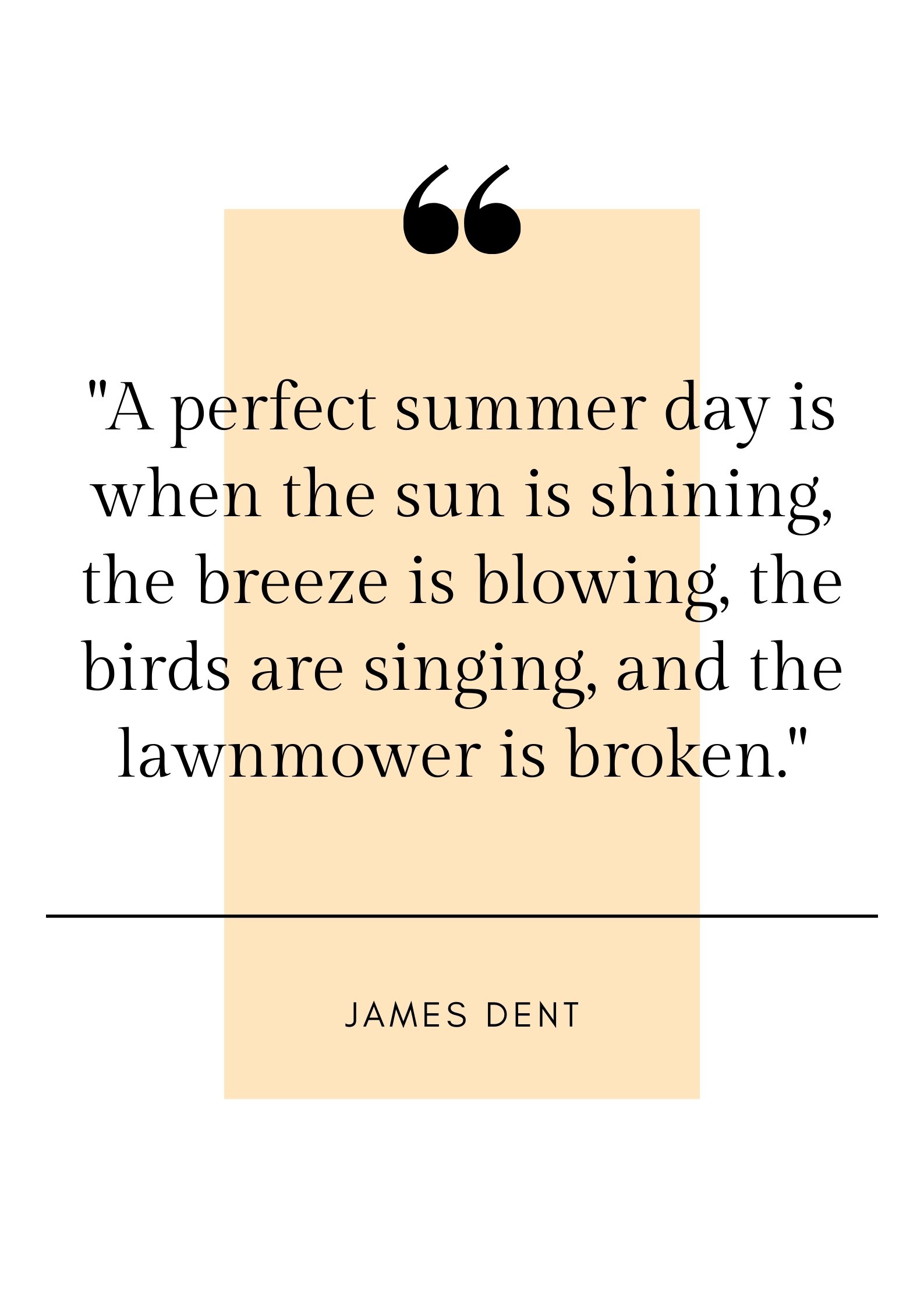 funny summer quote