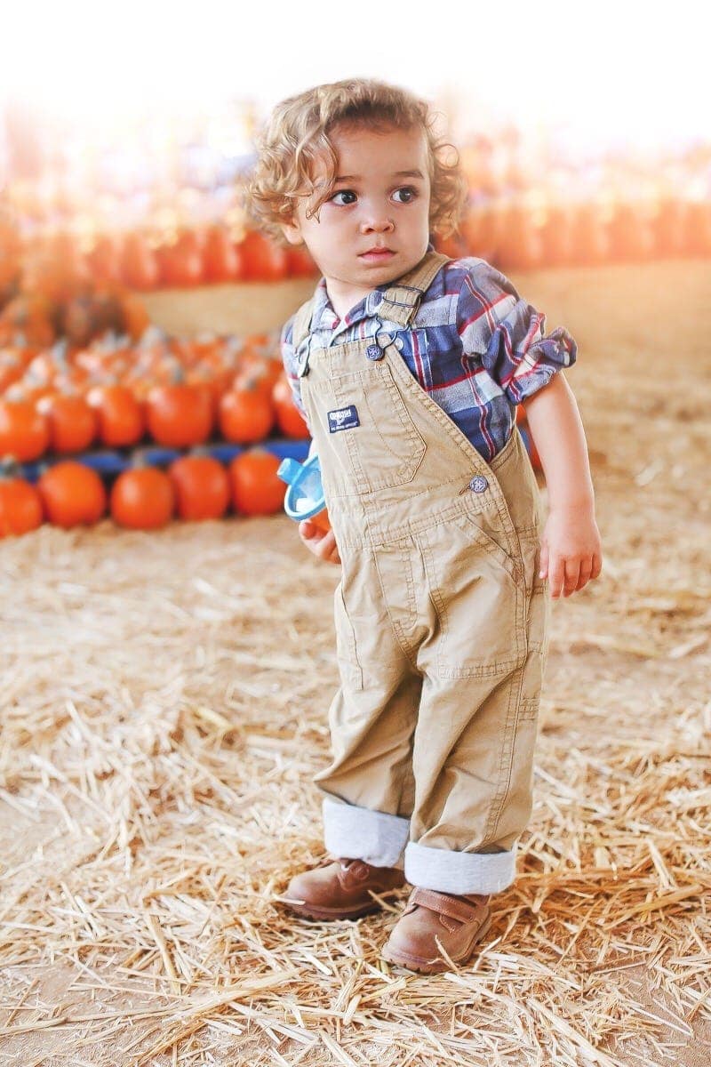 boy in pumpkin patch