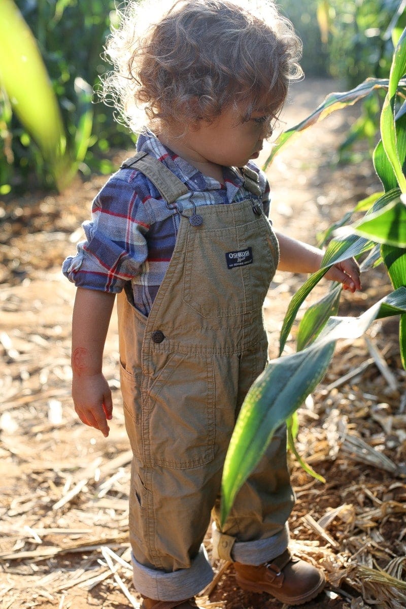 Brody in his adorable roll-up canvas overalls