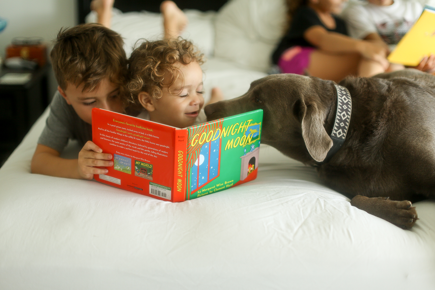 boys reading with dog