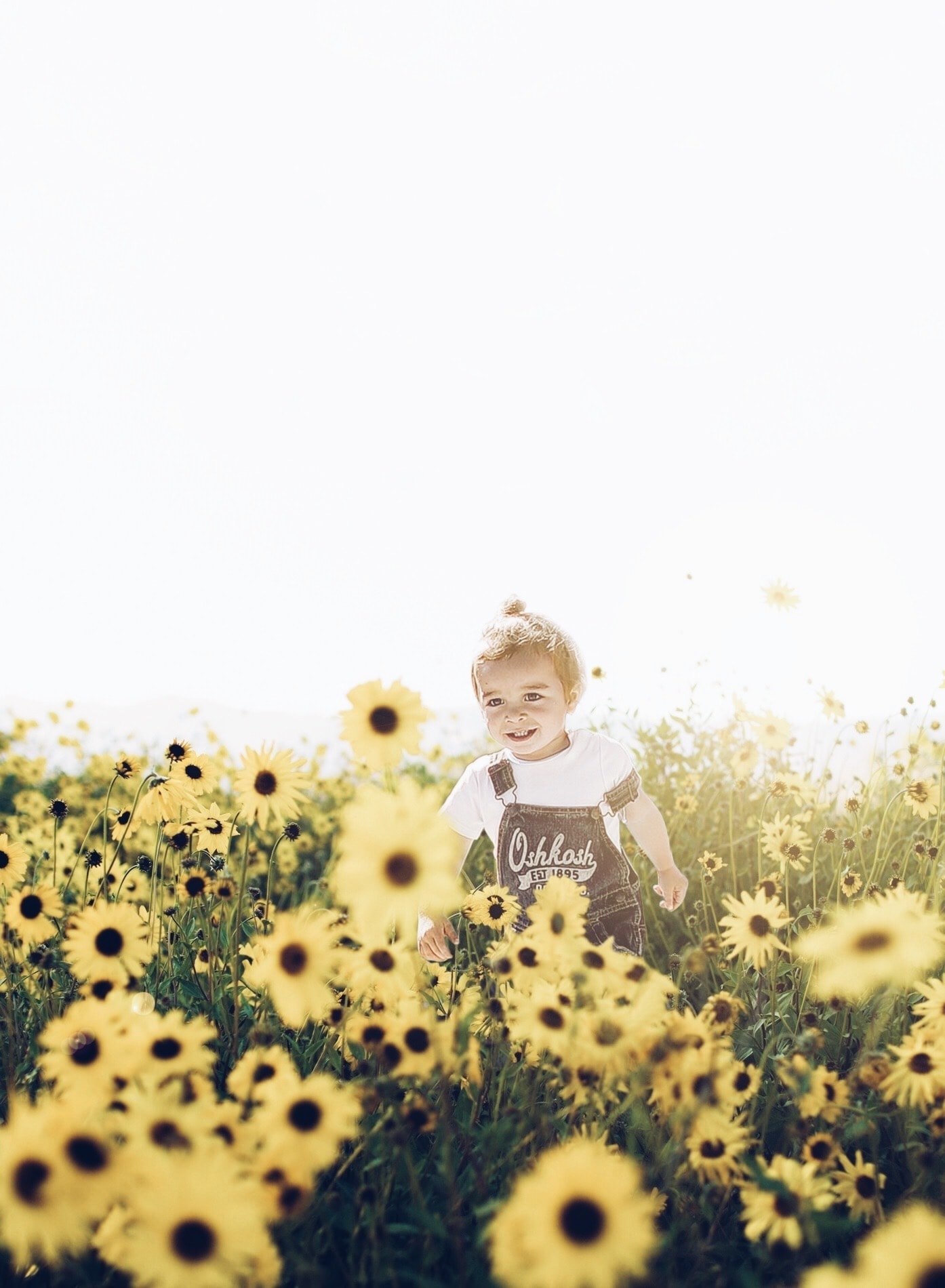 Baby Brody in a field of daisies