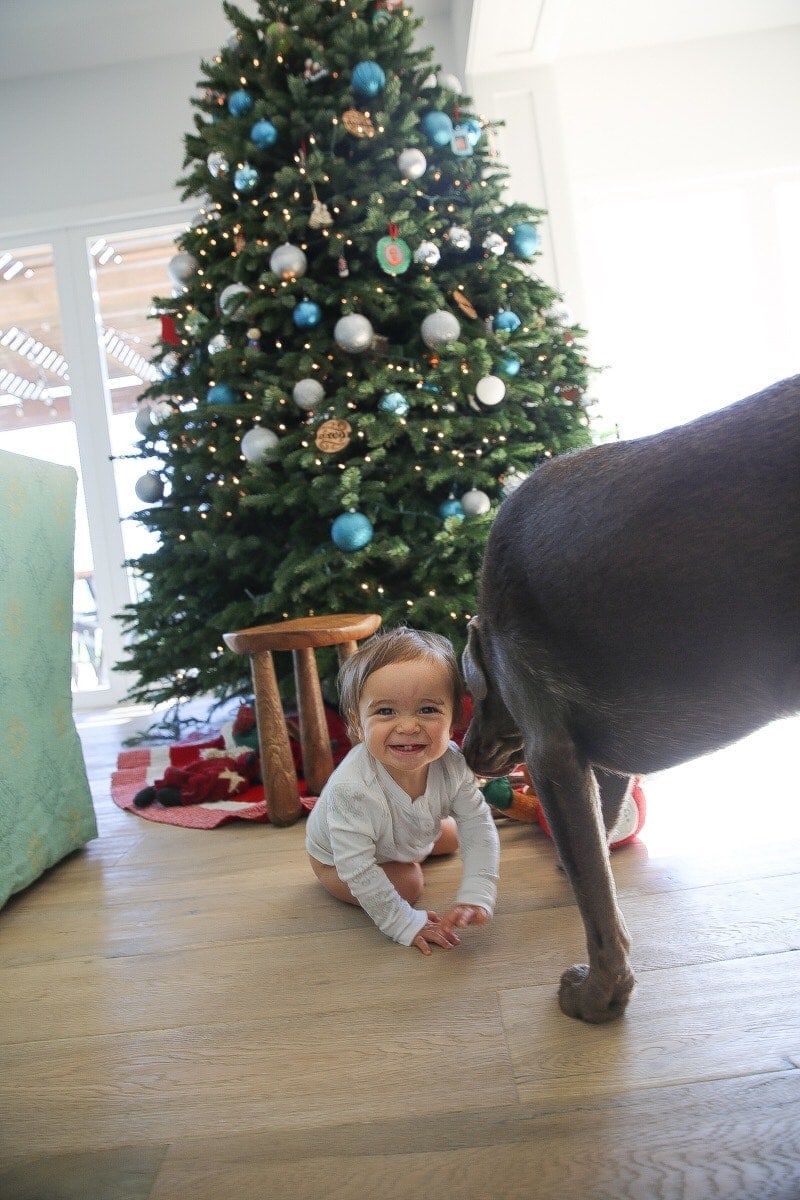 baby and dog by christmas tree