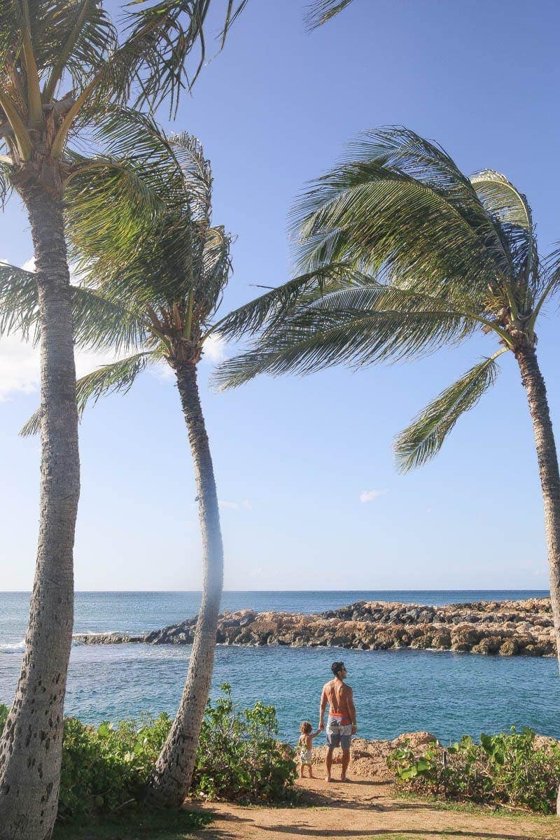 beach and palm trees at disney aulani