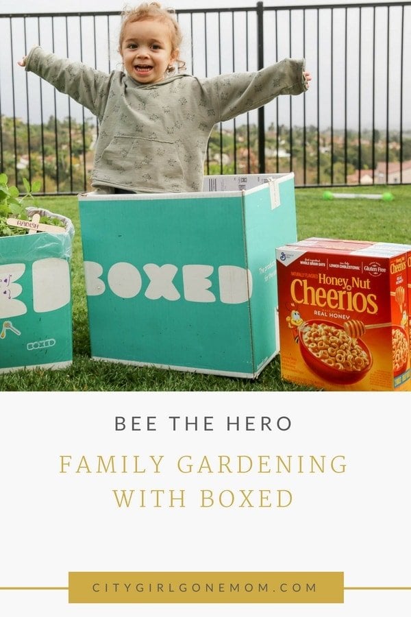 Building a bee-friendly mini garden with Boxed
