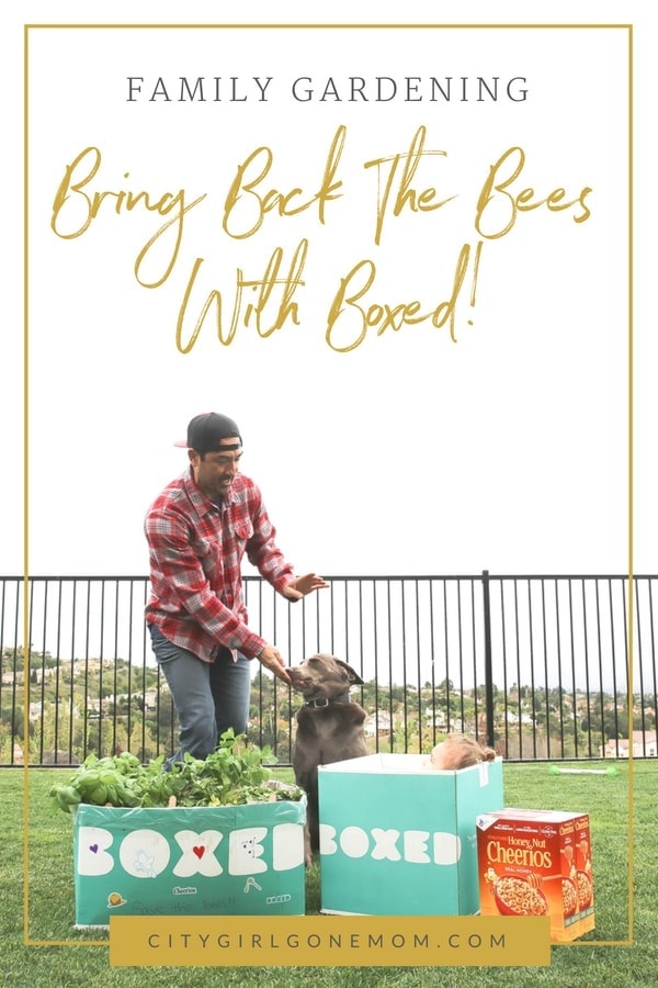 Building a bee-friendly mini garden with Boxed