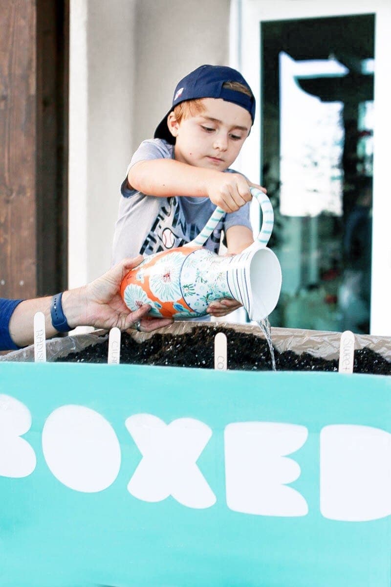 Boy watering the seeds in the Boxed mini bee garden