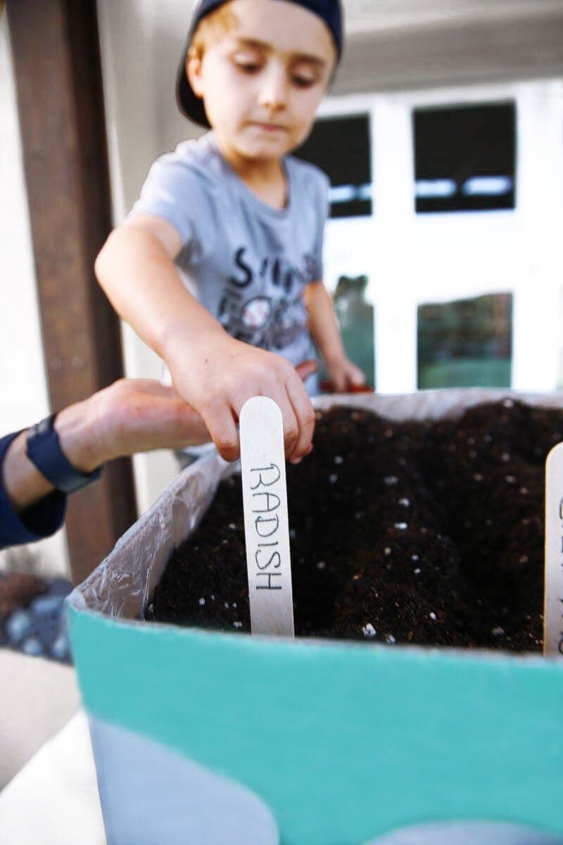 boy with herb garden