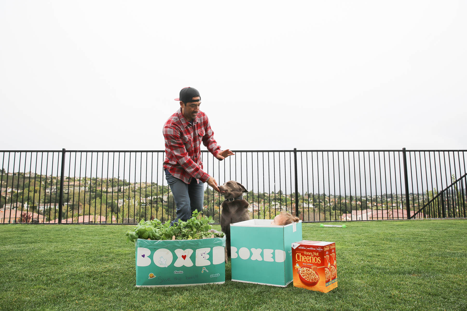 Husband and family dog helping out with making the Boxed and Honey Nut Cheerios mini garden