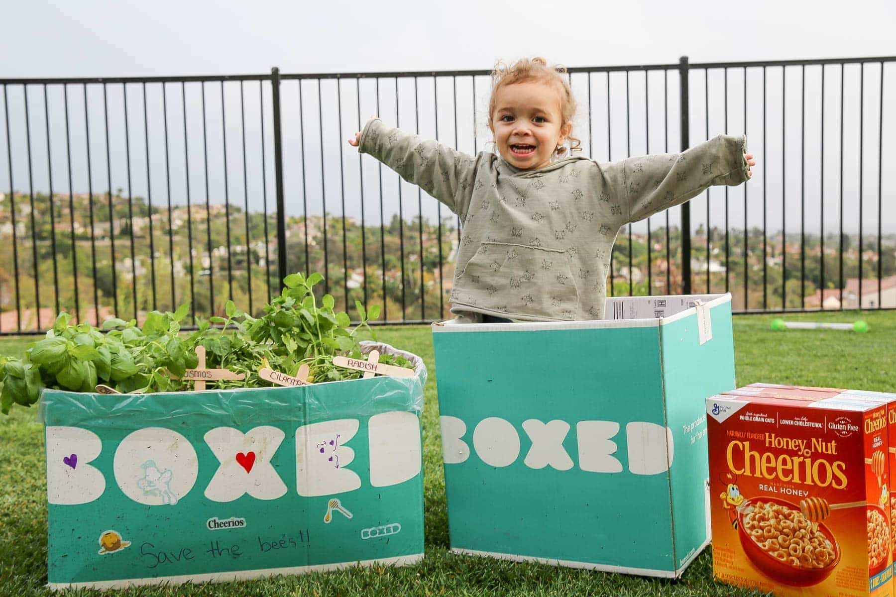 Child playing next to the mini box garden for saving bees