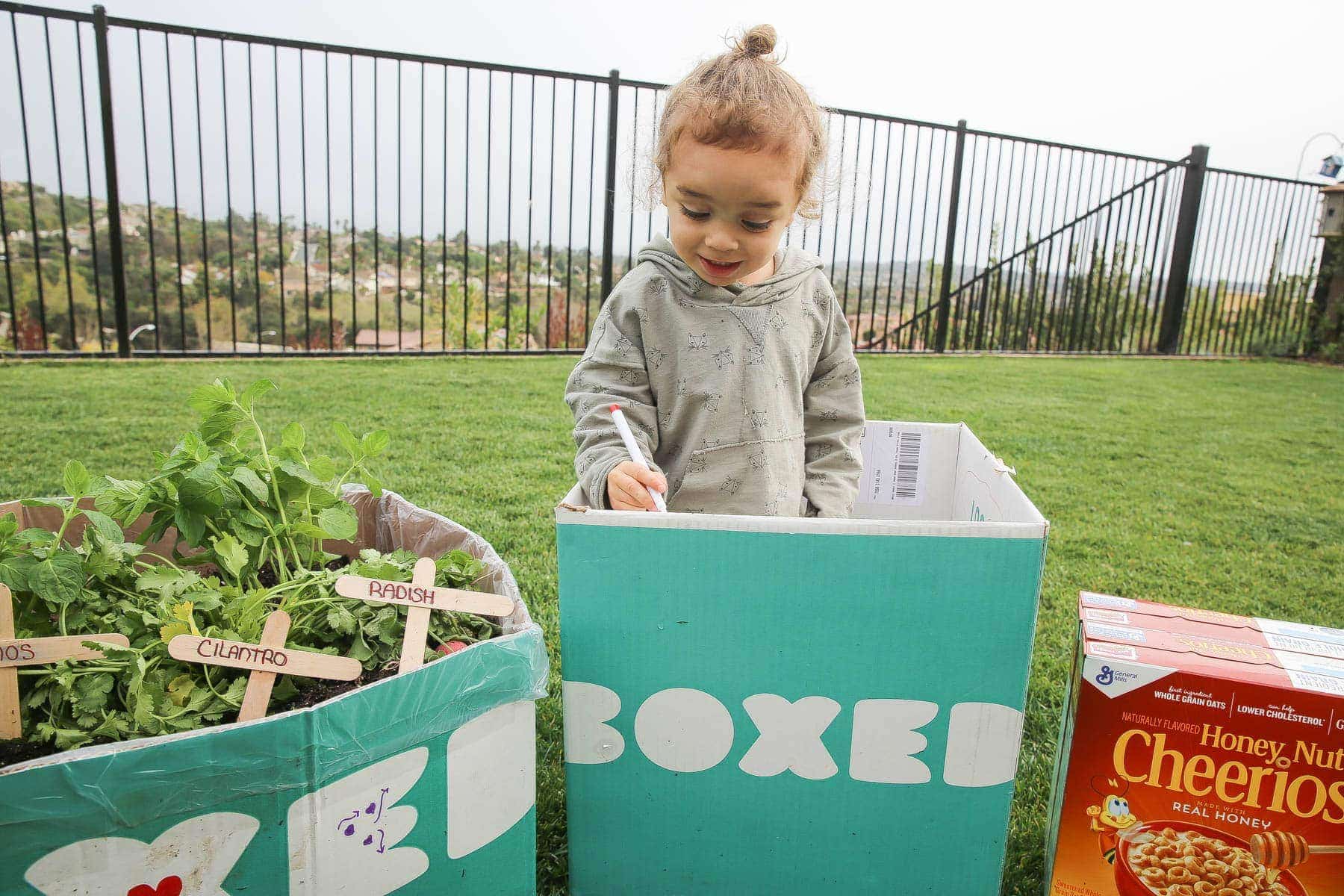 Child decorating the Boxed and Honey Nut Cheerios mini garden