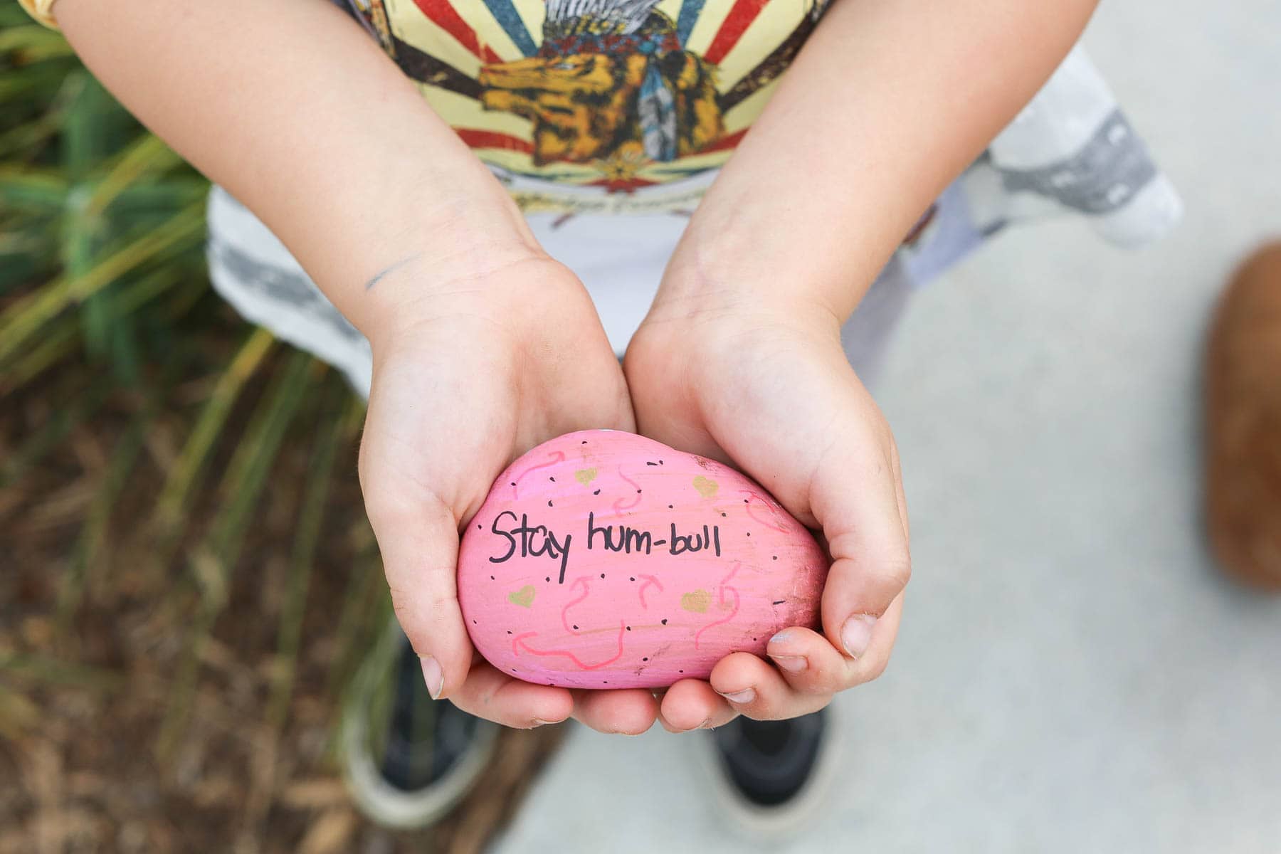 citygirlgonemom and Ferdinand kindness rocks project