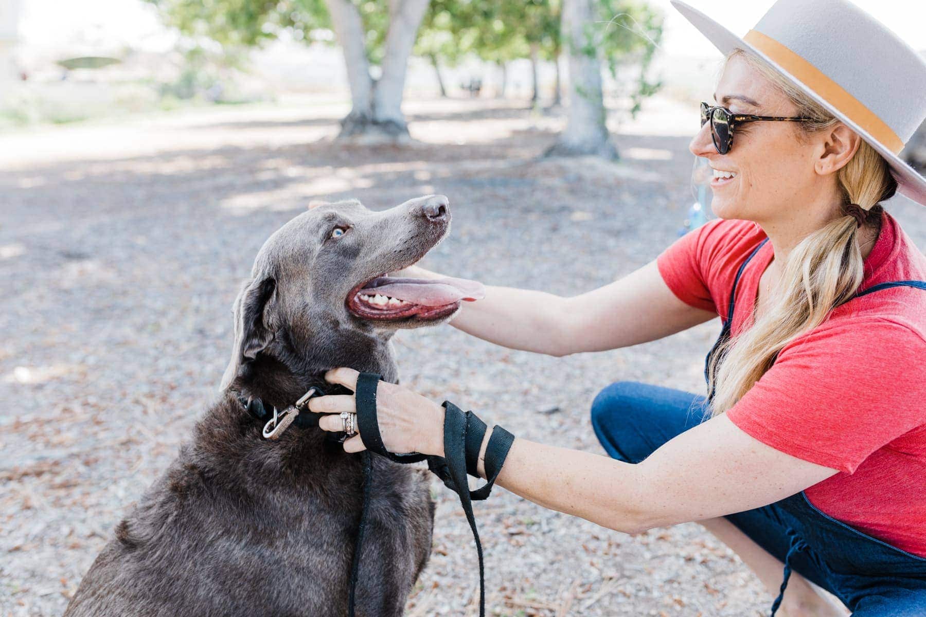 Photo of a Woman and an Adorable Dog #royalcanin #dog #dogfood #labrador #citygirlgonemom