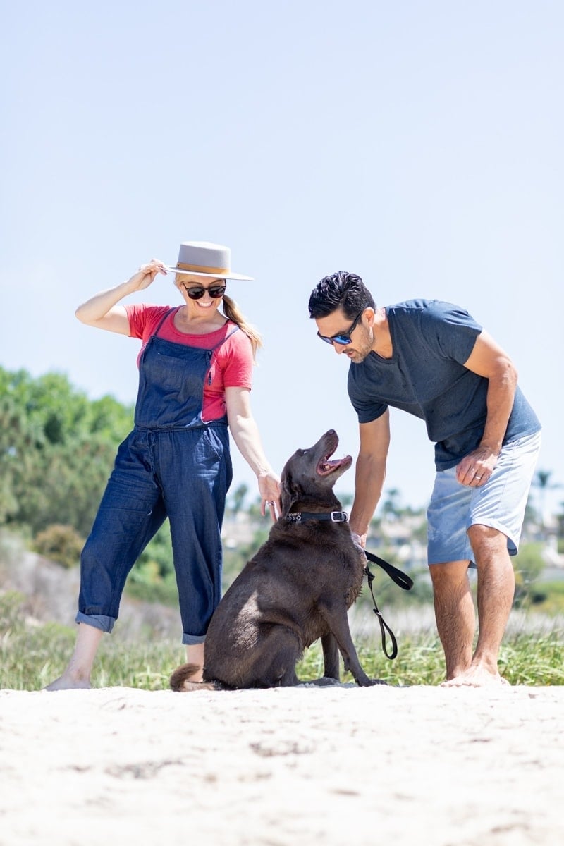 Photo of Mom and Dad holding Their Dog #royalcanin #dog #dogfood #labrador #citygirlgonemom #Weimaraner