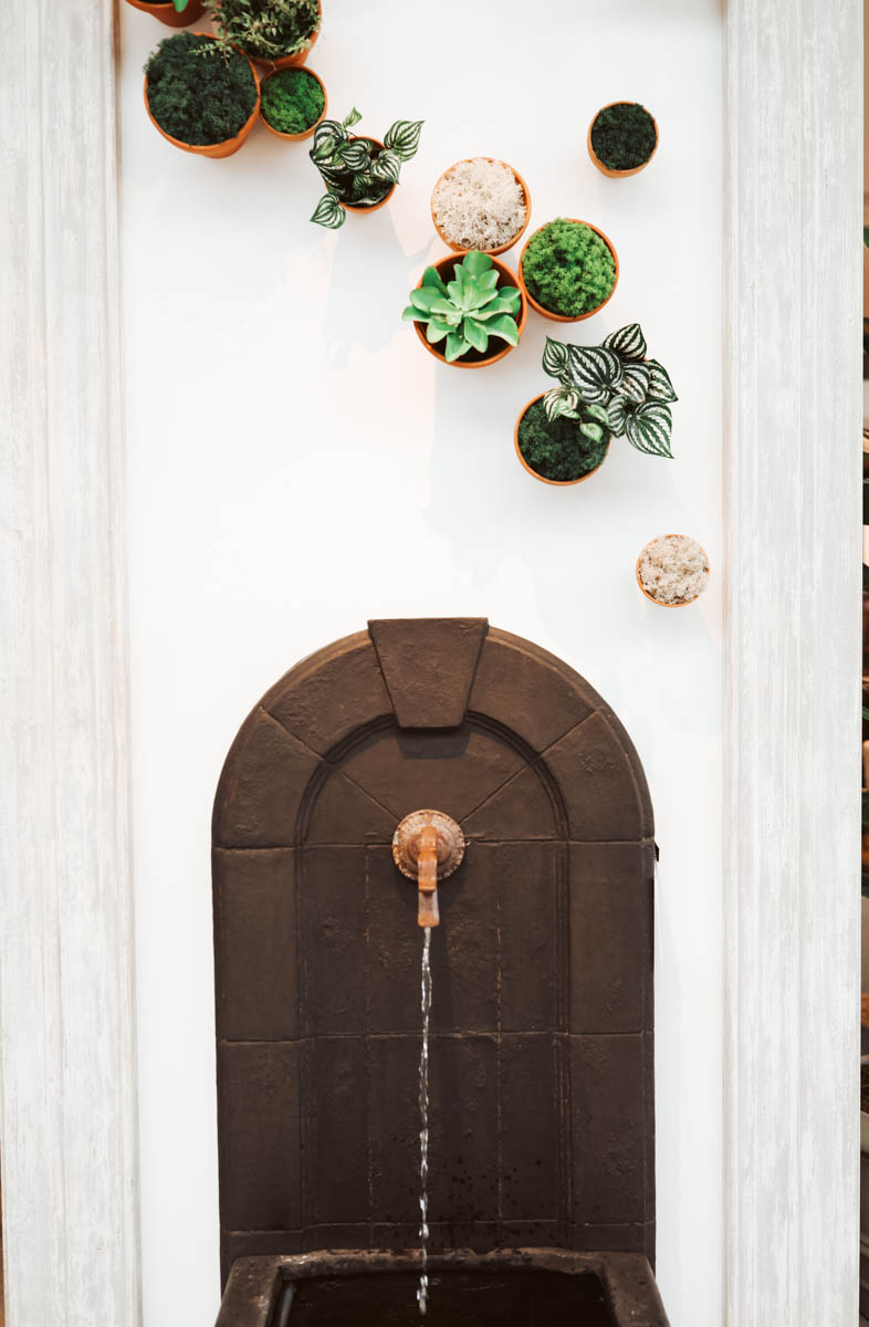 fountain and hanging plants