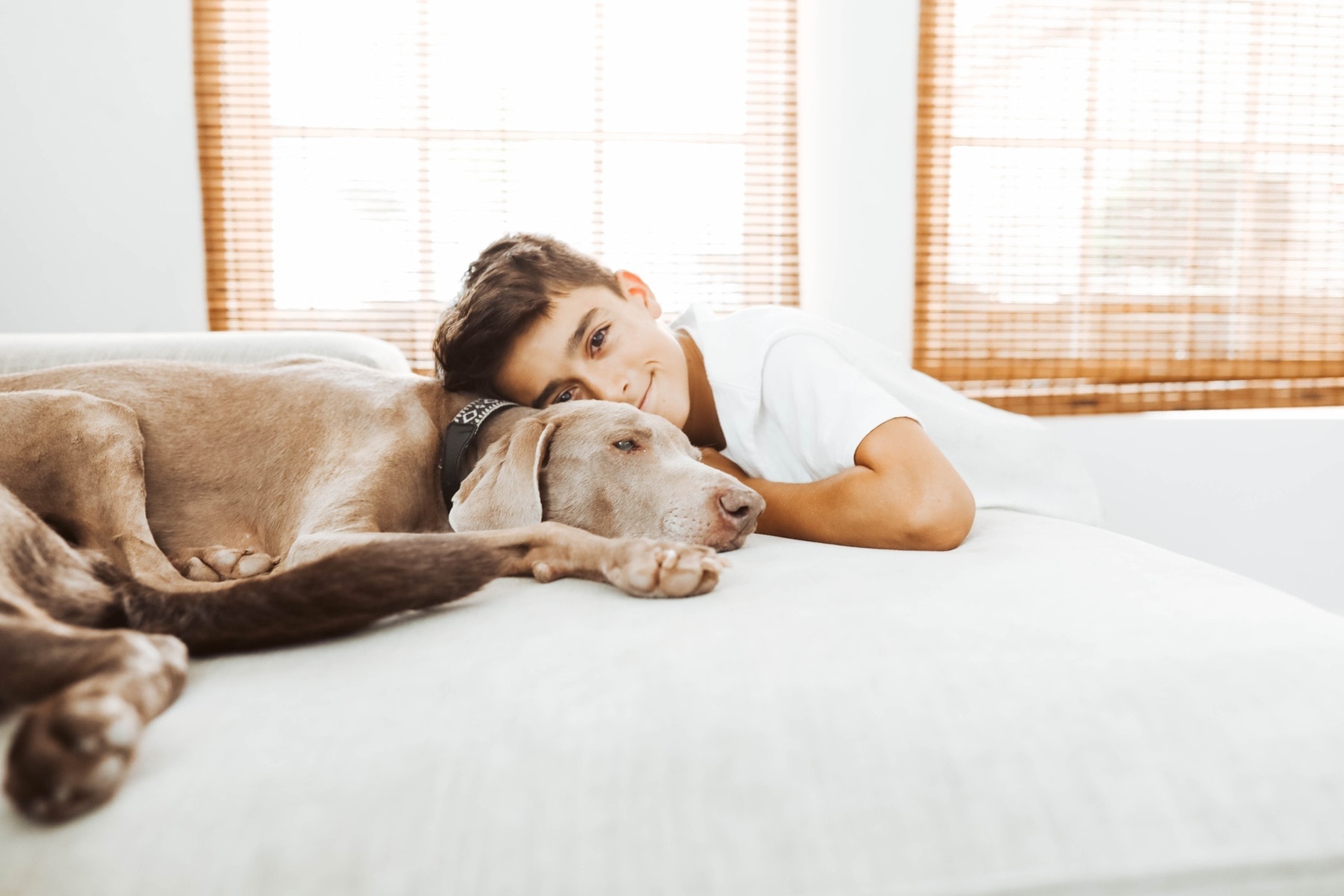 boy and his Weimaraner