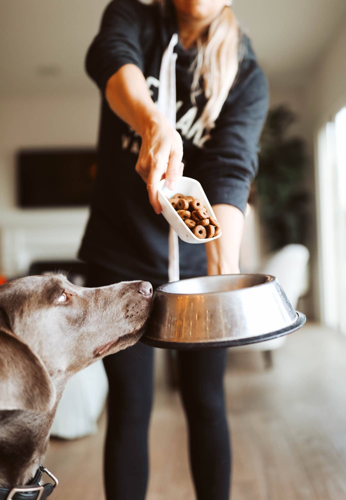 girl feeding dog