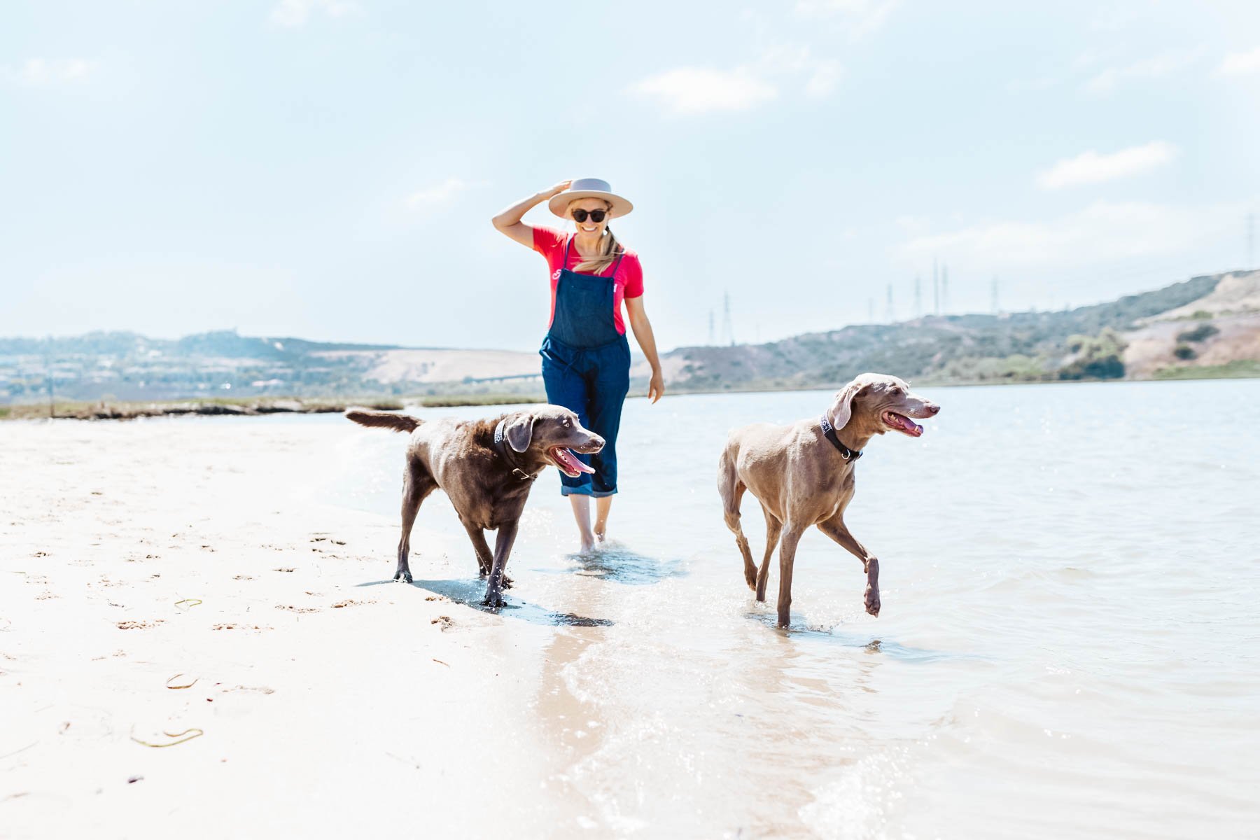 girl walking dogs on beach