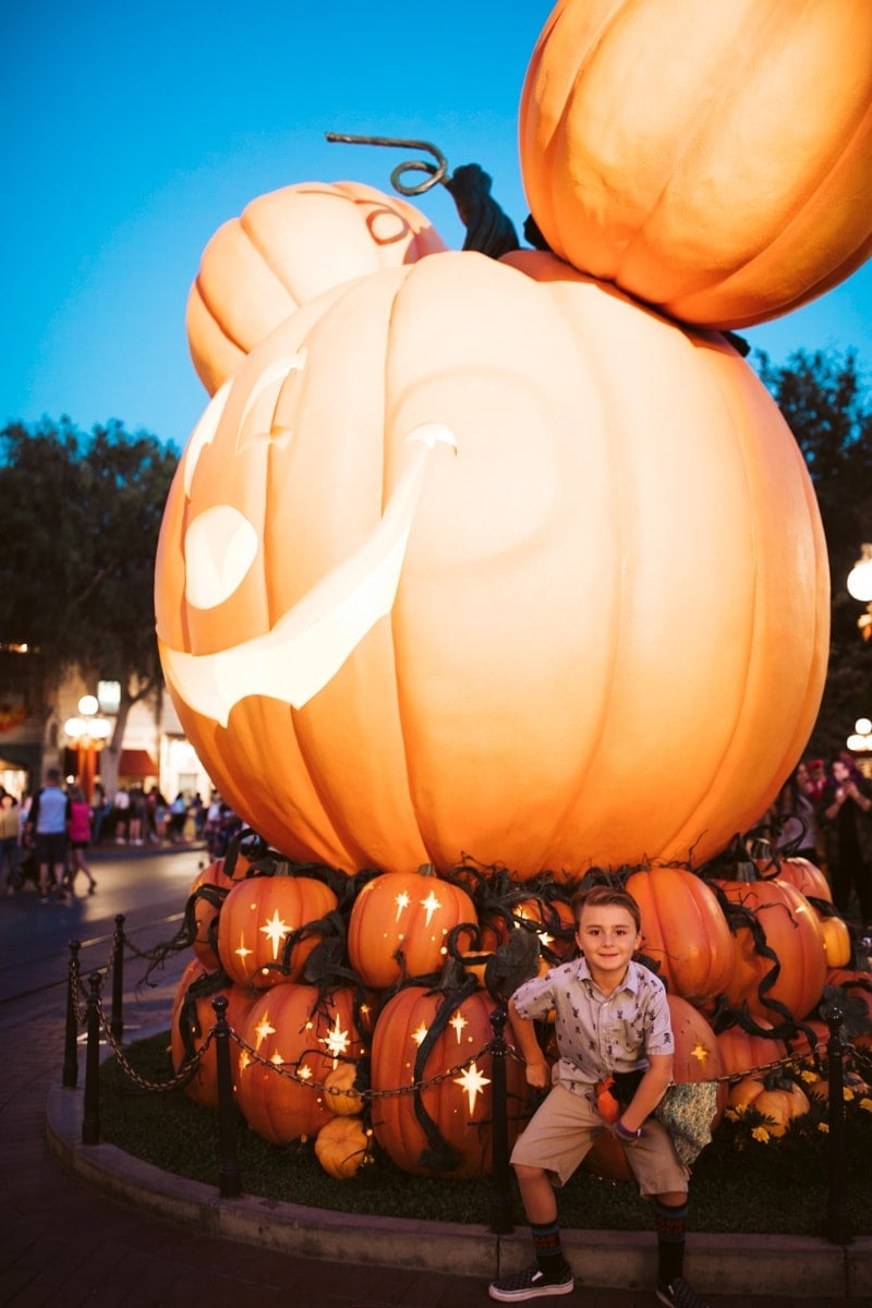 Pumpkin at Disneyland