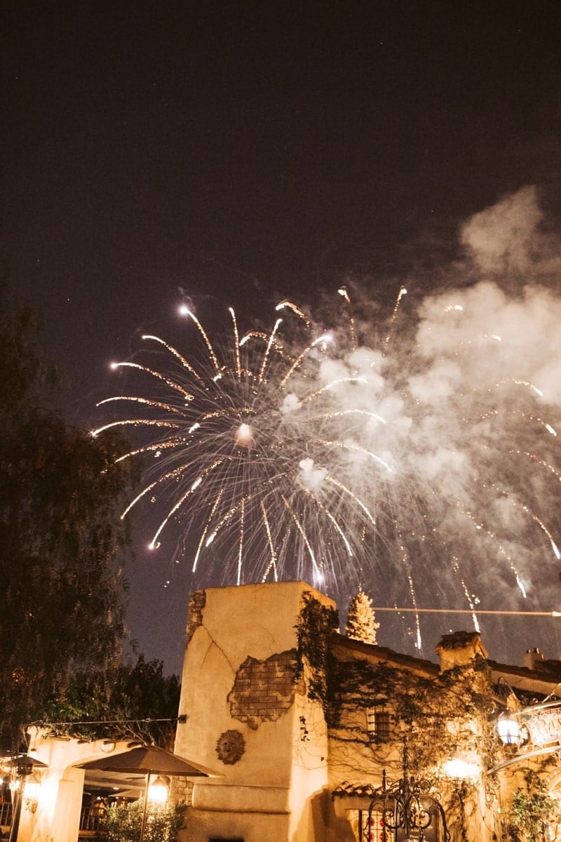 Fireworks Disneyland